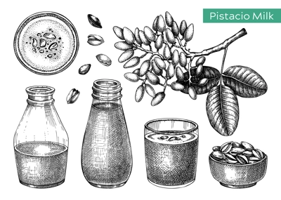 Pistachio milk sketches set. Hand drawn organic dairy protein products for vegetarians. Vector illustrations of pistachio plant branch, nuts in bowls, milk in glass bottles. Healthy food and drinks